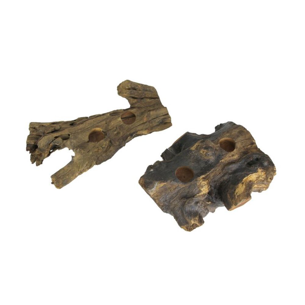 Set of 2 Natural Gamal Root Wood Double Tealight Candle Holders - Large
